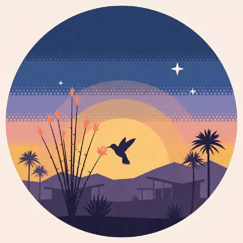 A hummingbird at a blooming ocotillo against the sun