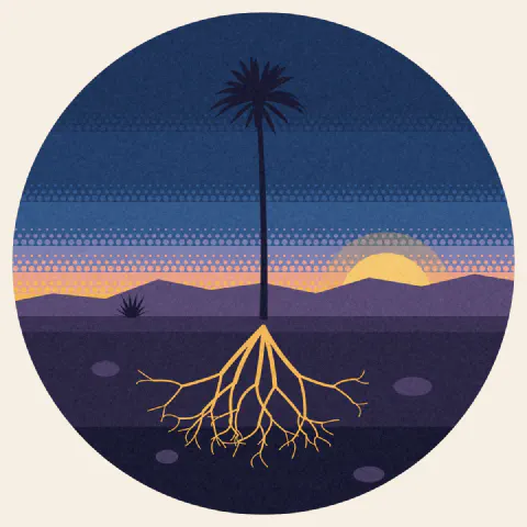 A young palm with golden roots spreading through the soil